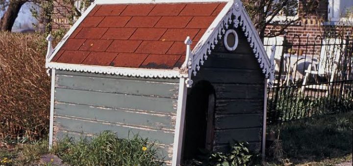 Hondenhok Hoeve Ackerdijk (Zuid-Holland, Schipluiden)